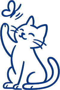 gatto_traccia_2_s
